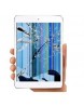 Ipad Mini 4 Smashed Front Glass or LCD