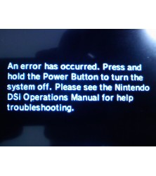Nintendo DSi Application Error DSiNintendo