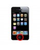 Ipod Touch 4 Home Button Repair Service Ipod Touch 4 Apple